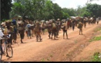 Centrafrique : Zemio, des centaines de femmes seins nus protestent contre les violences