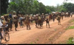 Centrafrique: Zemio, hundreds of women stage topless protest