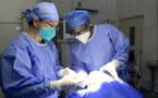 A song of great love: China's international medical assistance contributes to human peace, development
