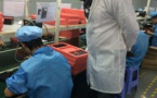 Tchad : Un smartphone Toumaï bientôt sur le marché tchadien
