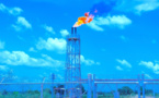 ​Le Tchad crée la TPC, une société pétrolière pour combler le vide laissé par Esso