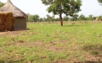 Tchad : le grenier, une pratique ancestrale de conservation en voie de disparition