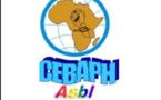 66ème anniversaire de la DUDH, La réaction du CEBAPH: Quelle place pour les droits de l'Homme en Afrique ? 