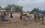 Tchad : le département d'Assoungha en crise avec l’afflux des réfugiés soudanais