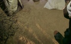 Tchad : un jeune armé d'un Famas tente de fuir un contrôle et est abattu à la sortie d'Abéché