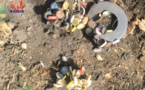 Tchad : les bouchons de bière, une source de revenus pour les jeunes