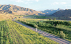 Mines on Ningxia's Helan Mountain turn green, contribute to better ecology