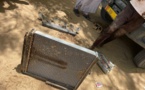Tchad : 12 braconniers affrontent la Garde faunique au Batha