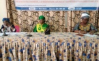 Tchad : le PILC et l'USIP unis pour la cohabitation pacifique et la notion de paix