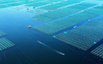 China vigorously builds marine ranches