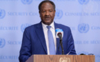 Conseil de sécurité : le représentant onusien salue la "détermination" et la solidarité "extraordinaire" du Tchad