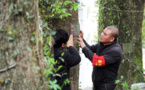Science-based measures implemented to protect old, valuable trees