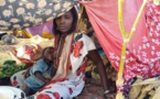 Soudan : plus de 6000 réfugiés fuient El Geneina pour se réfugier au Tchad en trois jours