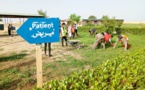 Tchad : des associations s'engagent dans des actions citoyennes pour un environnement sain