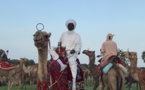 Le Tchad met à l'honneur le dromadaire lors de sa Journée Internationale dédiée