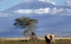 Tourisme : Comment réussir votre  Safari ?