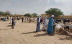 Tchad : une fête de Tabaski hors de portée pour certains fidèles à Mao