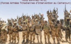 Cameroun: le Tchad veut piloter depuis N'Djamena, l'opération contre boko haram au Cameroun 