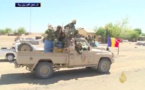Cameroun: Voir le premier reportage sur l'arrivée de l'armée tchadienne