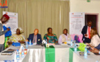 Bassin du Lac Tchad : Le PNUD met l'accent sur la justice transitionnelle et les solutions durables