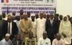 La BAD soutient le projet ambitieux du Tchad pour développer le secteur de l'élevage