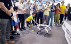 China's AI industry achieves fruitful outcomes