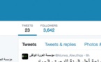 Le compte Twitter de Boko Haram supprimé