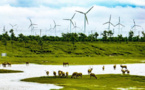 Building Beautiful China contributes to global environment governance