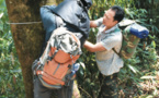 China's Yunnan sees progress in protecting plant species with extremely small populations