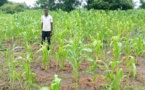Tchad : l'ONG ESEDD en action contre les dégâts des aléas climatiques dans la Nya