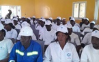 Tchad : l'ONAPE lance son programme d'appui aux diplômés sans expérience au Mayo Kebbi Est