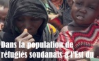 Crise de réfugiés à l'Est du Tchad : appel de l'ONG AHA pour une table ronde de mobilisation de ressources