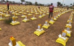 Aide humanitaire au Tchad : Le Croissant Rouge du Qatar apporte un soutien vital