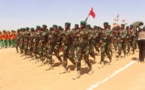 Niger : la junte met en garde la CEDEAO contre une "aventure militaire" aux "conséquences désastreuses"