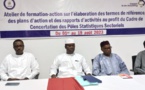 Tchad : le FNDS renforce l'utilisation des données statistiques sectorielles à travers la formation-action