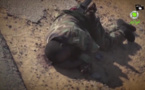 Nouvelle vidéo de propagande de Boko Haram