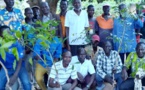 Tchad : Bébédjia se pare de vert grâce à l'initiative d'une fondation