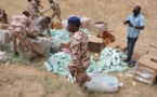 Tchad : incinération de produits prohibés à Mao