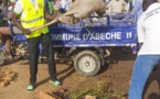 Tchad : Le coup de pioche de l'ONG Kites à Abéché