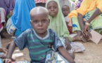 Le Togo soutient l'accès à l'aide humanitaire au Niger à la demande des Nations Unies