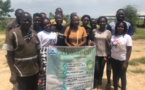Tchad : "Grain d'Espérance" agit en faveur du reboisement