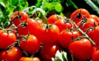Burkina Faso : bientôt une usine de transformation de tomate à Bobo-Dioulasso