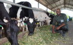 Éthiopie : comment la technologie améliore l’élevage laitier