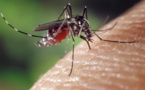 Les dirigeants d’Afrique lancent l’alerte d'une situation d’urgence face au paludisme