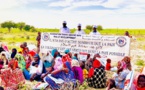 Tchad : distribution de moustiquaires pour contrer l'épidémie de dengue à Abéché