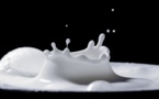Bénin : un projet pour booster les facteurs de production de lait et de viande