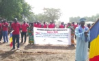 Tchad : la Journée Mondiale des Enseignants 2023 commémorée au Mayo Kebbi Ouest