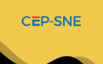 Tchad : Appel à Manifestation d'Intérêt - Recrutement de plusieurs ONG par la CEP-SNE (prévention et réponse aux EAS/HS)