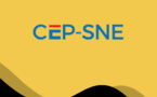 Tchad : Avis d'Appel d'Offres International de la CEP-SNE pour l'acquisition de systèmes solaires domestiques (kits SHS)