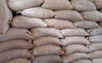 Cameroun : une vente groupée de cacao atteint le prix record de 1850F/le kilogramme à Djoum